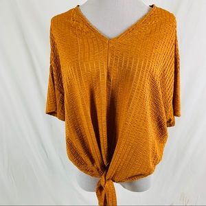 ZARA-Gold V neck tie waist 70s top -SZ S